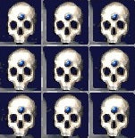 50x Perfect Skulls